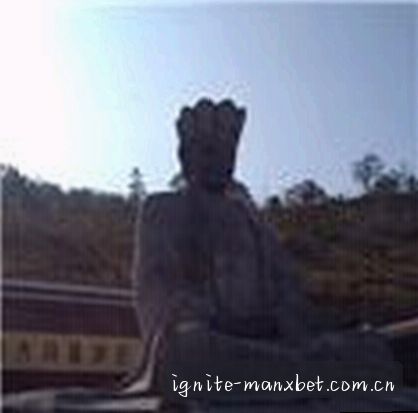 吴迪